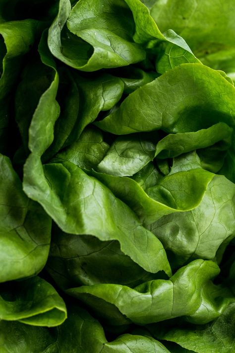 Quinoa Mushroom, San Choy Bow, Exhibition Graphics, Vegetable Salads, Butter Lettuce, Vegetable Salad Recipes, Vegan Quinoa, Food Texture, Lettuce Leaves