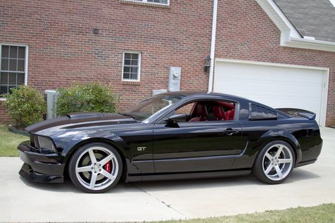 2005 Mustang Gt, 2005 Mustang, W Pics, 1973 Mustang, 2005 Ford Mustang, 2014 Mustang, 2009 Ford Mustang, Ford Mustang Car, Ford Mustang Shelby