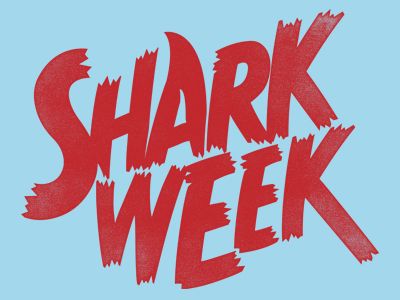 Swim at your own risk. Discovery Channel's Shark Week 2012! #sharkweek #waywire Shark Week Crafts, Shark Bait, Typography Designs, Shark Logo, Shark Art, Typo Logo, Shark Party, Weird Words, Library Displays