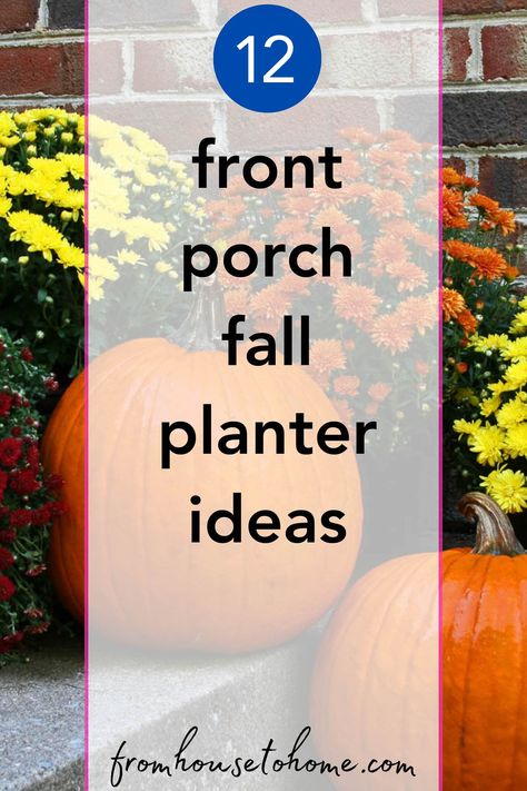 12 Front Porch Fall Planter Ideas | DIY Gardening Fall Porch Pots Pots & Planters, Fall Flower Pots Front Porches, Autumn Outdoor Decor, Fall Planter Ideas, Cute Front Porch, Mums And Pumpkins, Fall Urn, Fall Pots, Licorice Plant