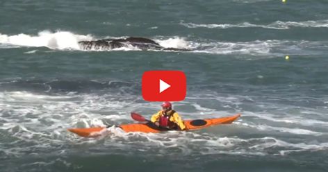 How To Turn Your Sea Kayak In The Wind | Paddling.com Sea Kayak, Surf Kayak, Canoe Slalom, Windy Weather, Kayak Adventures, Sea Kayaking, Canoe And Kayak, Training Courses, Power Boats