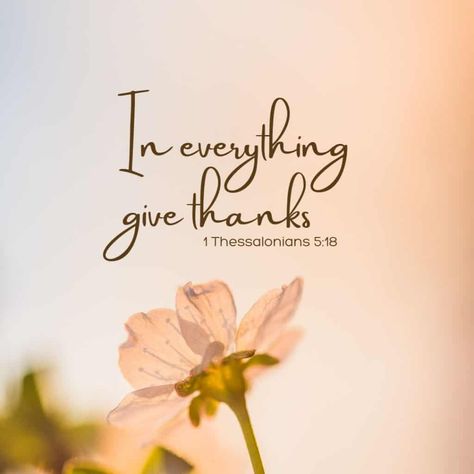 Thank You Jesus Quotes, Grateful Thankful Blessed Quotes, Thankful Quotes Life, Thank You Verses, Bible Verse About Giving, Thank You God Quotes, Thank God Quotes, Thank You Quotes Gratitude, Thanking God