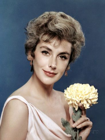 Kay Kendall  1958 Kay Kendall, British Celebrities, Classic Movie Stars, The Cinema, Great Films, Affordable Wall Art, Frames For Canvas Paintings, Vintage Glamour, Cool Posters