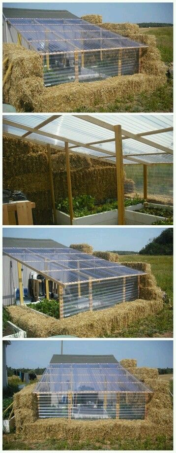 Greenhouse Diy Straw, Greenhouse Ideas, Straw Bale, Wooden Greenhouses, Small Greenhouse, Greenhouse Plans, Tutorials Diy, Aquaponics System, Diy Greenhouse