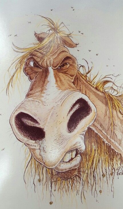 18 Horse Pictures To Brighten Your Day | Page 3 of 5 | PetPress Horse Cartoon, Animal Caricature, Animal Drawing, Horse Drawings, Dessin Adorable, Horse Pictures, Horse Art, Caricatures, Funny Art