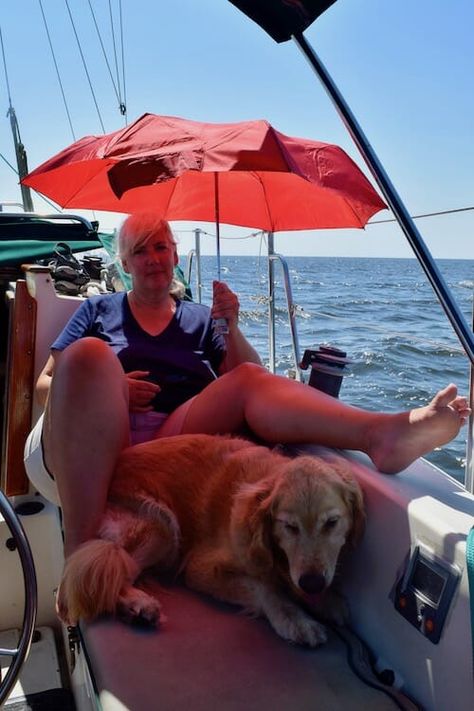 Keeping the dog cool on the boat with shade. Shade For Dogs, Dog Boat Ramp, Dogs On Boats, Lab Training, Fishing Essentials, Boat Diy, Sit On Kayak, Boat Days, Boat Supplies