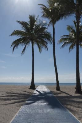 How to Make a Palm Tree Out of PVC Pipe Palm Tree Prop, Make Palm Trees, Make A Palm Tree, Palm Tree Trunk, Tree Trunk Ideas, Vbs Shipwrecked, Paper Palm Tree, Jungle River, Palm Tree Lights