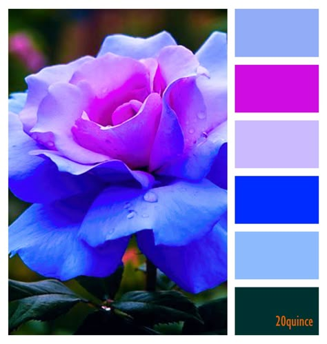 Blue And Pink Palette, Color Catalog, Colorful Palette, Color Schemes Colour Palettes, Paint Color Palettes, Color Pallete, Green Colour Palette, Palette Design, Brand Color Palette