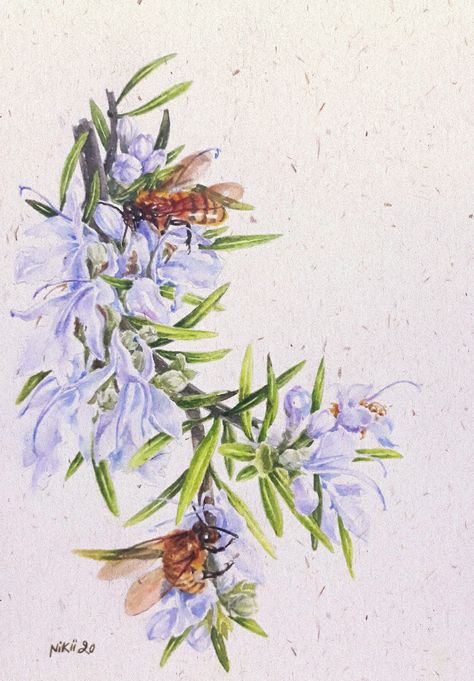 Rosemary Painting, Rosemary Art, Rosemary Tattoo, Illustration Art Watercolor, Bee Sketch, Micron Pen, Midlife Crisis, Art Watercolor Painting, Veg Garden