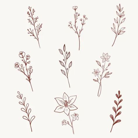 Outline blooming lily hand drawn lilies flower Vector Image Lily Drawing Simple, Drawn Lilies, Lily Flower Illustration, Lily Drawing, Lilies Drawing, Linear Art, Family Flowers, Flower Vector, Flower Illustration