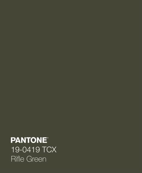 Pantone Green Shades, Winter Home Screen, Dark Autumn Colors, Pantone Color Swatches, Pantone Cards, Autumn Home Decor Ideas, Green And Terracotta, Olive Green Paints, Aesthetic Reel