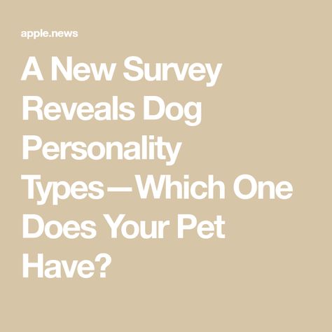 A New Survey Reveals Dog Personality Types—Which One Does Your Pet Have? Dog Personality, Personality Types, Martha Stewart, Service Dogs, Dog Owners, Dogs