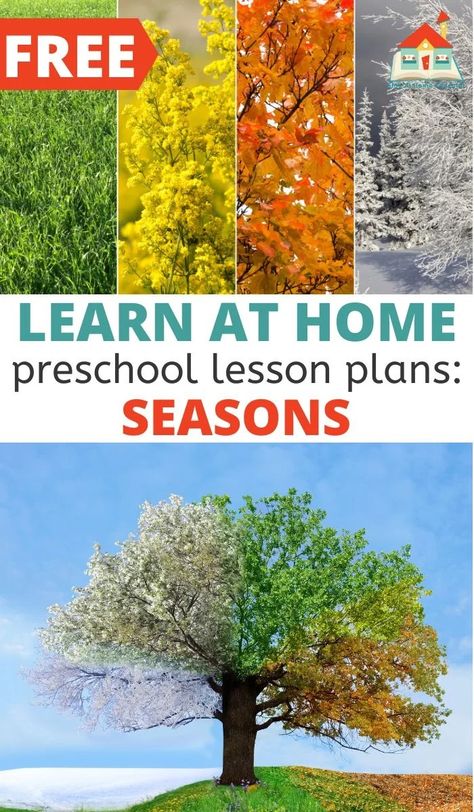 These preschool lesson plans don't require any special materials for teaching the seasons. That's what makes them so special. These lesson plans for preschoolers only require the most basic supplies found in most homes. Teach your preschooler or toddler all about the seasons with these hands-on activities. Learning Seasons Preschool, Preschool Science Lessons, Seasons Preschool, Seasons Lessons, Preschool Stem, Seasons Activities, Science Lesson Plans, Fall Preschool, Free Lesson Plans