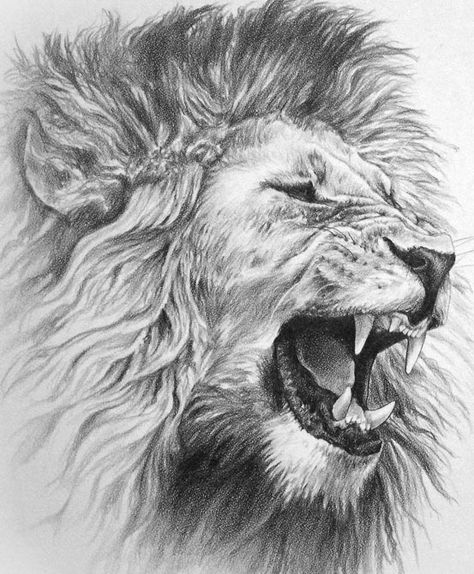 Roaring Lion Tattoo, Teenage Drawings, Pixel Tattoo, Lion Sketch, Tier Tattoo, Mens Lion Tattoo, Female Tattoos, Lion Head Tattoos, Lion Drawing