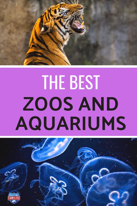 Best Zoos and Aquariums in the USA Best Zoos In The Us, Traveling America, Memphis Zoo, Travel Smart, Disney Cruise Tips, California Trip, Mini Pigs, Us Road Trip, Road Trip With Kids