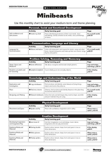 Minibeasts – medium-term plan All About Me Eyfs Planning, Eyfs Minibeasts, Childminding Activities, All About Me Eyfs, Minibeasts Eyfs, All About Me Topic, Eyfs Planning, Early Years Teaching, Spring Preschool Activities