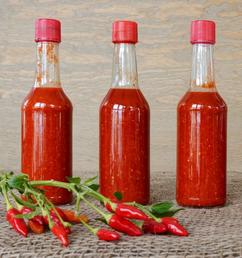 Hot Pepper Sauce Recipe - Quick & Easy! Southern Hot Pepper Sauce, Thai Pepper Hot Sauce, Hot Cherry Peppers Recipes, Hot Pepper Sauce Recipe Vinegar, Diy Hot Sauce Recipes, Pepper Sauce Recipe Vinegar, Hot Pepper Sauce Recipe, Plant Companions, Pickled Hot Peppers