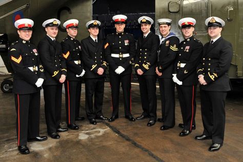 Royal Marines Royal Marines Uniform, Marines Dress Blues, British Royal Marines, Marines Uniform, Royal Marines, Military Heroes, Men In Uniform, Royal Navy, British Royals