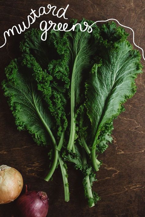 Mustard Greens #green #vegetables http://greatist.com/eat/leafy-greens-guide-how-to-cook-and-store Cooking Mustard Greens, Vegan Greens, Greens Recipes, Vegan Tattoo, Csa Recipes, Mustard Greens, Collard Greens, Garden Recipes, Green Vegetables