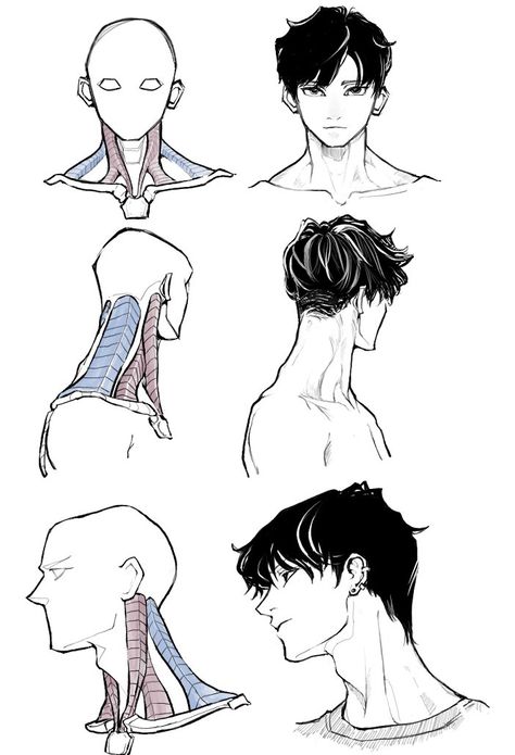 Haircut Medium, Mens Haircut, Human Anatomy Drawing, Human Anatomy Art, High Fade, Anatomy Sketches, Men's Haircut, Have Inspiration, 캐릭터 드로잉