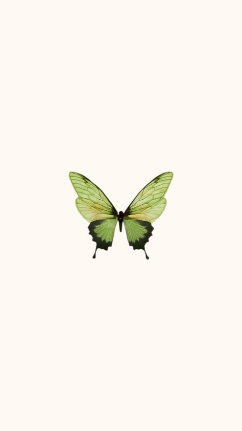 Green Butterfly Tattoo, Green Butterfly Wallpaper, 3d Butterfly Tattoo, Left Arm Tattoos, 3d Butterflies, Arm Tattoos, Green Butterfly, Butterfly Wallpaper, Insta Photo