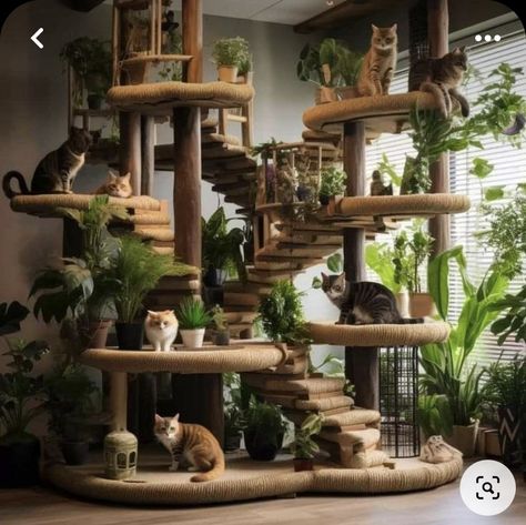 Weird Houses, Cat Room Decor, Feral Cat House, Interesting Houses, Kat Diy, Cat Castle, Cat Patio, Cat Tree House, Diy Cat Tree