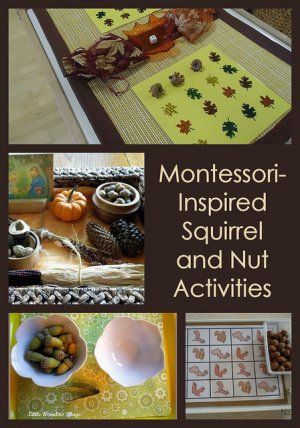 Acorn Activities, Circulatory System Activities, Dayhome Ideas, Activities For Classroom, Preschool Autumn, Autumn Preschool Theme, Montessori Trays, November Activities, Fall Preschool Activities