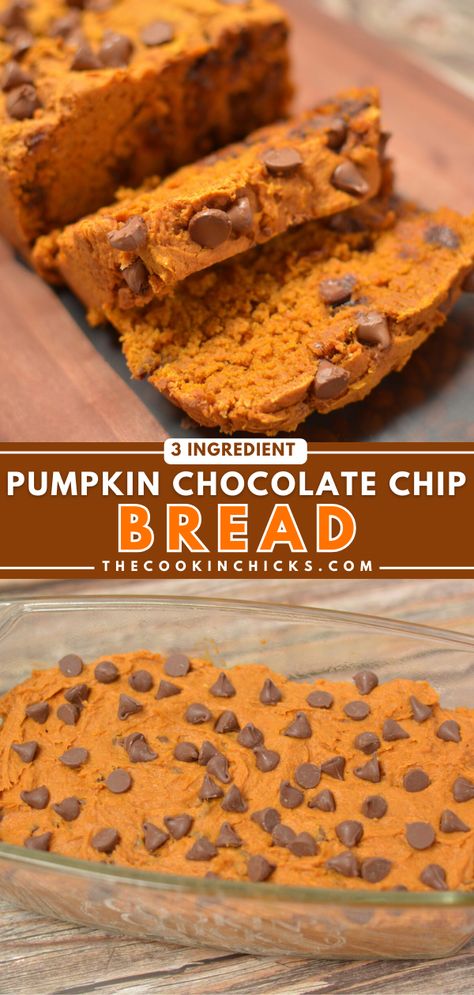 This quick and easy 3 Ingredient Pumpkin Chocolate Chip Bread comes together in no time and is packed with Fall flavor! Ready for the oven in under 5 minutes, this recipe is fool proof and family approved! If you’re a pumpkin lover, this is the recipe for you! 3 Ingredient Pumpkin Chocolate Chip Muffins, 3 Ingredient Chocolate Chip Pumpkin Bread, Pumpkin Quick Bread Mix Recipes, 3 Ingredients Pumpkin Bread, Pumpkin Bread 2 Ingredients, Three Ingredient Pumpkin Bread, Pumpkin Bread 3 Ingredients, Choc Chip Pumpkin Bread, Easy Pumpkin Chocolate Chip Bread