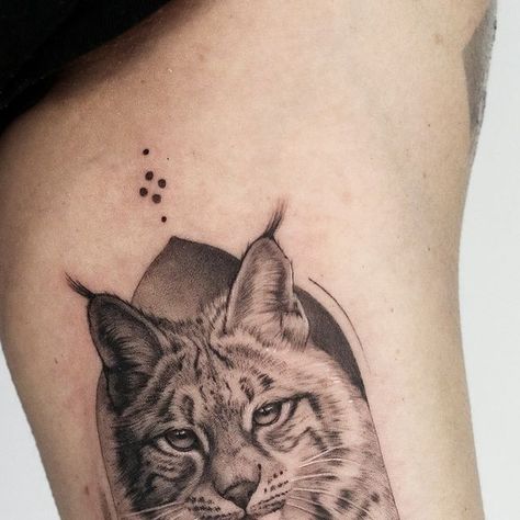 Rachael Sawtell on Instagram: "Loved tattooing this Lynx piece today for Sam, done on the inner bicep. Looking forward to adding more big cats tattoos!   . . #tattoo #tattooideas #tattooinspo #lynx #animaltattoo #realismtattoo #realistictattoo #realistictattoo #cattattoo" Big Cat Back Tattoo, Lynx Tattoo, Big Cat Tattoo, Tattoo T, Forest Tattoos, Realism Tattoo, Love Tattoos, Cat Tattoo, Lynx