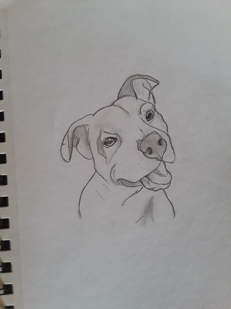 Pitbull Dog Drawing Easy, Drawing Of Pitbull, Pitbull Sketch, Pitbull Puppy Drawing, Pitbull Line Drawing, Pitbull Drawing Pencil, Pitbull Silhouette, Pitbull Drawing, Puppy Sketch