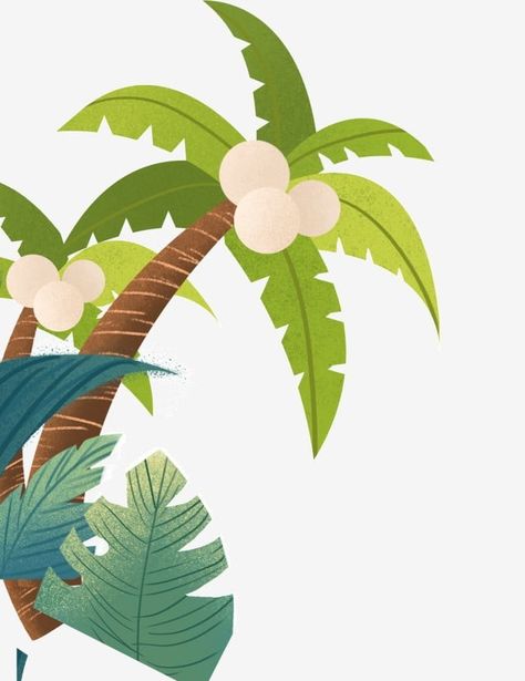 Coconut Leaves Drawing, Palm Tree With Coconut, Kelapa Muda Aesthetic, Coconut Illustration Design, Nescafe Packaging, Coconut Tree Painting, Coconut Tree Illustration, Coconut Packaging, Coconut Tree Png