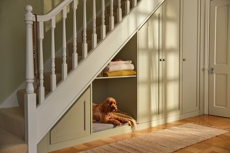 Wardrobe Under Stairs, Dog Under Stairs, Stairs Dog House, Bed Under Stairs, Under Stairs Dog House, Understair Storage, Under Stairs Storage Solutions, Space Under Stairs, Room Under Stairs