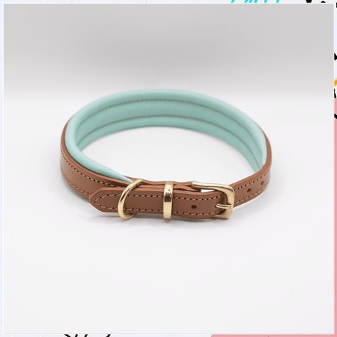 Looking for stylish dog collar ideas? Check out these 9 must-try designs that will make your pup the most fashionable in town! From chic leather to colorful patterns, these dog collars are perfect for any stylish pooch. Find the perfect collar for your furry friend and make them the talk of the dog park! Dog Leather Collar, Dog Leash Pulling, Short Dog Leash, Velvet Dog Collar, Engraved Dog Collar, Luxury Dog Collars, Dog Collar With Name, Cute Dog Collars, Fancy Dog