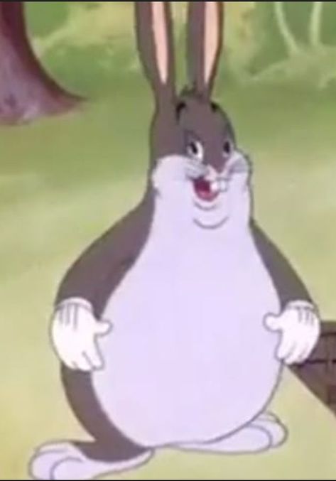 ORIGINAL BIG CHUNGUS | Flower background wallpaper, Flower backgrounds, Iphone background Big Chungus, Lunch Table, Barking Dog, Wallpaper Flower, Cartoon Character Pictures, Goofy Pictures, Character Pictures, Dog Lead, Funny Profile