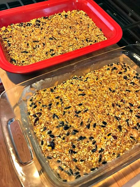 Learn how to make these quick and easy homemade birdseed cakes and keep your feathered friends visiting the yard all season long! Birdseed Cakes, Bird Suet, Suet Cakes, Seed Cake, Bird Cakes, Filling Breakfast, Oatmeal Raisin Cookies, Raisin Cookies, Oatmeal Raisin