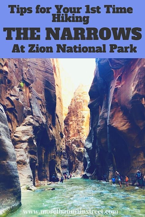 Hikes In Zion National Park, Zion Narrows, Zion National Park Photography, Hiking The Narrows, National Parks America, The Narrows, Utah Road Trip, Zion National Park Utah, National Parks Photography