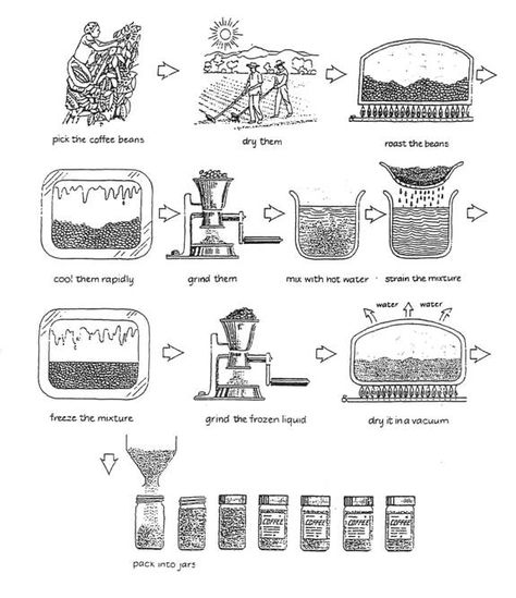 Time for IELTS: Sample Answer IELTS Writing Task 1 - Process Diagram 1 Ielts Writing Task1, Writing Task 1, Process Diagram, Coffee Process, Ielts Writing Task 2, Linking Words, Coffee Pack, Ielts Writing, Coffee Making