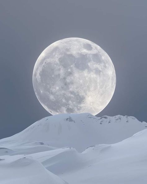 The SNOW MOON - February Moon And Snow, Winter Full Moon, Snow And Moon Aesthetic, Full Snow Moon, Frost Moon, Wolf In Winter Forest, White Fox, Snowy Mountains, Snow Leopard