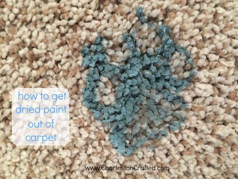 how to get dried paint out of carpet - charleston crafted Remove Paint From Carpet, Paint Out Of Carpet, Patching Drywall, Plastic Carpet, Home Decor Painting Ideas, Decor Painting Ideas, Carpet Diy, Dry Carpet Cleaning, Remove Paint