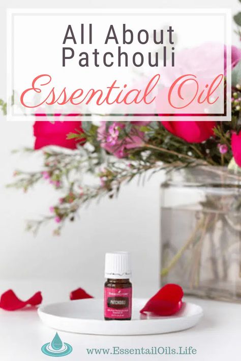 23 Patchouli Essential Oil Uses, plus FAQs Patchouli Essential Oil Uses, Calming Essential Oil Blends, Diy Diffuser Blends, Diy Diffuser, Plant Therapy Essential Oils, Essential Oils For Face, Diy Essential Oil Recipes, Are Essential Oils Safe, Calming Essential Oils