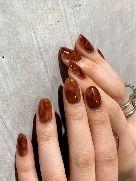 Korean Autumn Nails, Brown Manicure Ideas, Jelly Brown Nails, Dark Jelly Nails, Chocolate Brown Nails, Classy Nail Art Ideas, Brown Nails Design, Hello Nails, Hippie Nails