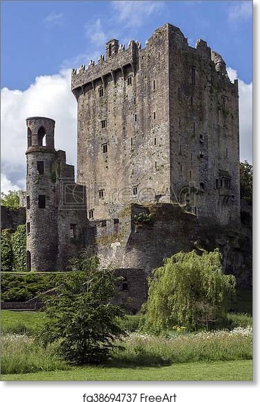 Blarney Castle - Cork - Ireland - Artwork - Art Print from FreeArt.com Ireland 2023, Castle Keep, Castle Architecture, Blarney Castle, Castle Tattoo, Irish Castles, Castles In Ireland, Free Art Print, Castles Interior