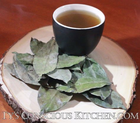 Soursop Leaves & Their Powerful Benefits Soursop Benefits, Soursop Tea, Alkaline Diet For Beginners, Soursop Leaves, Alkaline Vegan Recipes, Nutritional Guide, Dr Sebi Alkaline, Summer Savory, Benefits Of Organic Food