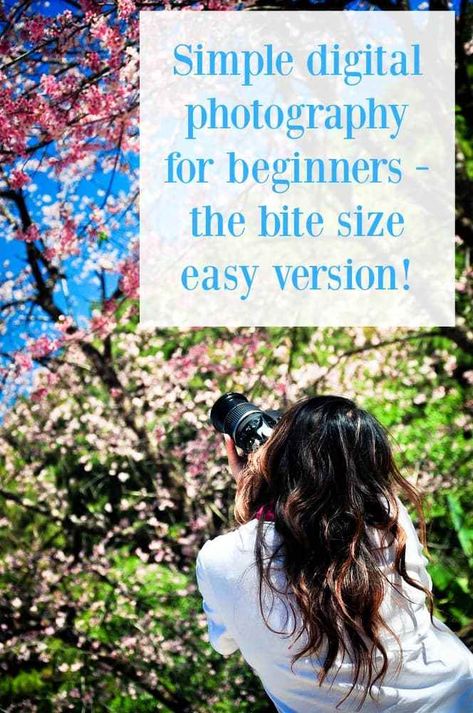 Simple photography for beginners - the bite size easy version.... Organizing Pictures, Photography For Dummies, Digital Photography Lessons, Simple Photography, Perfect Pictures, Digital Photography Backdrops, Frugal Family, The Diary, Creative Stuff