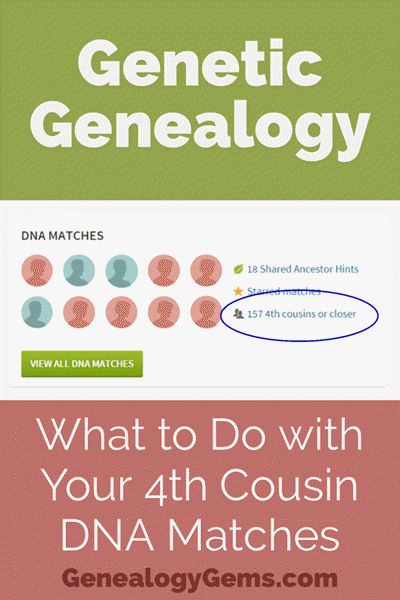 DNA Matches: What You Can Do with All Your Genetic 4th Cousins - Genealogy Gems Ancestry Dna Test, Genealogy Humor, Free Genealogy Sites, Genealogy Organization, Genealogy Scrapbooking, Irish Genealogy, Genealogy Help, Family Tree Research, Genealogy Websites