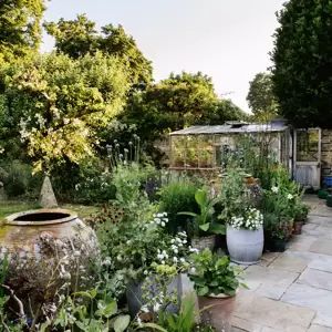 Tom Massey, Circular Lawn, Wisteria Plant, Growing Organic Vegetables, Hillside Garden, Herbaceous Border, Small Flower Pots, London Garden, Spring Bulbs