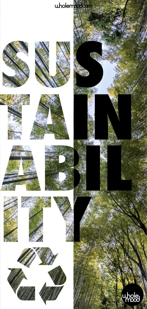 What is Sustainability? We hear the term everywhere, many brands and products claim to BE it, but what does it mean, why is it important and how can we be MORE sustainable? Get into the Whole Mood and join the conversation! #sustainability #sustainableliving #sustainabledesign #design #interiordesign  #upcycling #recycling #gogreen #reuse #repeat Sustainable Consumption, Waste Management Branding, Sustainability Campaign Design, Sustainability Event Design, Environment Graphics, Corporate Sustainability, Sustainable Design Graphic, Sustainable Future, Innovative Design