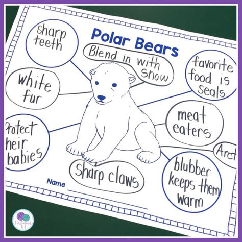 Teach your kindergarten and first grade students all about arctic animals with these polar bear activities. Includes a non fiction powerpoint, writing activities, blubber experiment, worksheets, assessments and more. #polarbears #firstgradewriting #informationalwriting #firstieland Polar Bear Activities For Kindergarten, Polar Bear Worksheets Preschool, Polar Bear Activities For Kids, Polar Bear Worksheets, Arctic Animals Kindergarten, Polar Bear Writing, Polar Bear Adaptations, Polar Bears Kindergarten, Blubber Experiment