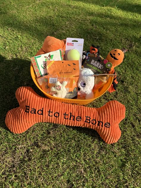 Dog Halloween Gift Basket, Halloween Pet Ideas, Spooky Basket For Dog, Dog Halloween Basket, Dog Spooky Basket, Dog Boo Basket, Spooky Basket Ideas For Boyfriend, Spooky Baskets For Kids, Outdoor Decor Halloween