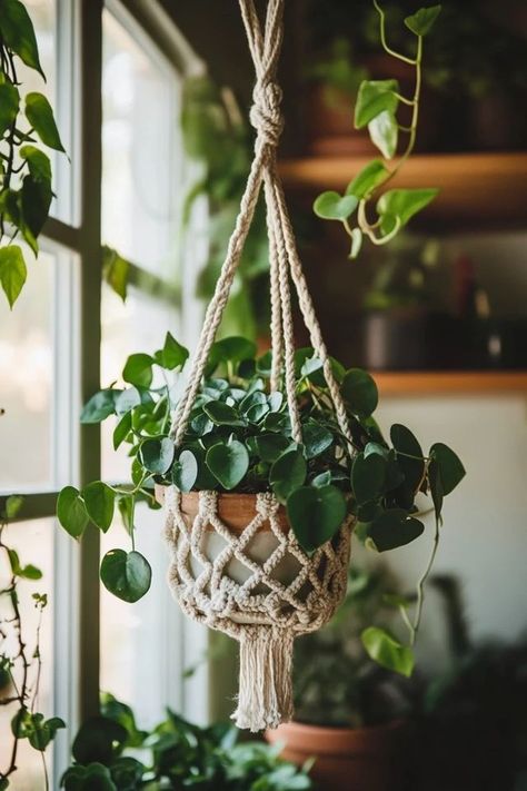 "Bring bohemian flair to your plants with DIY Macramé Plant Hangers! 🛠️🌿 Perfect for adding texture and character to any room. 🌟✨ #MacrameInspiration #BohoDecor #DIYPlantHangers" Diy Macrame Plant Hanger, Succulent Gardening, Plant Hangers, Macrame Plant Hangers, Macrame Design, Macrame Diy, Macrame Plant Hanger, Plant Hanger, Hangers